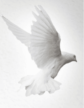 Joyce A. (Byers) Cassidy Obituary
